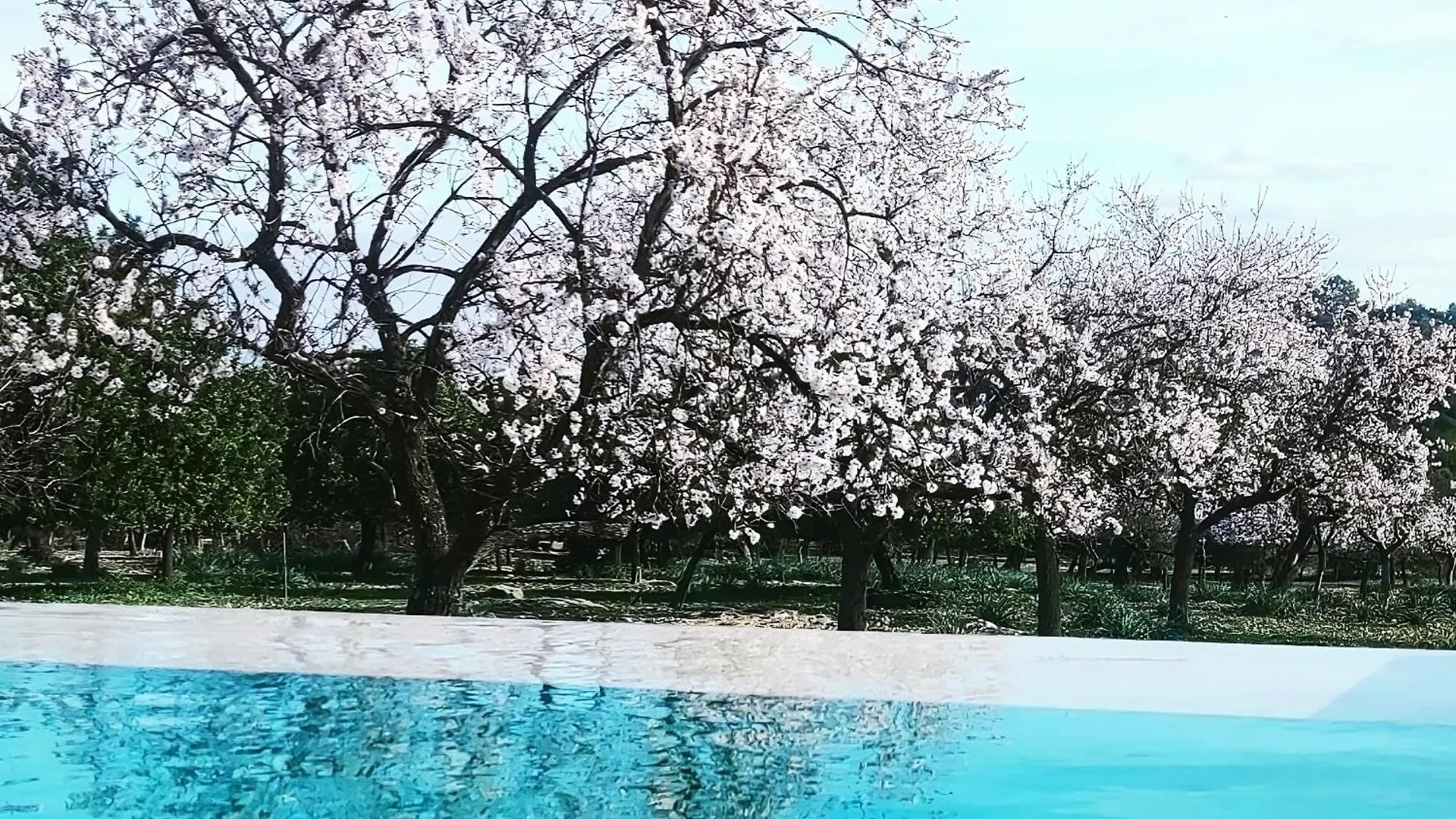 Agroturismo Agroturisme Subies Selva  España